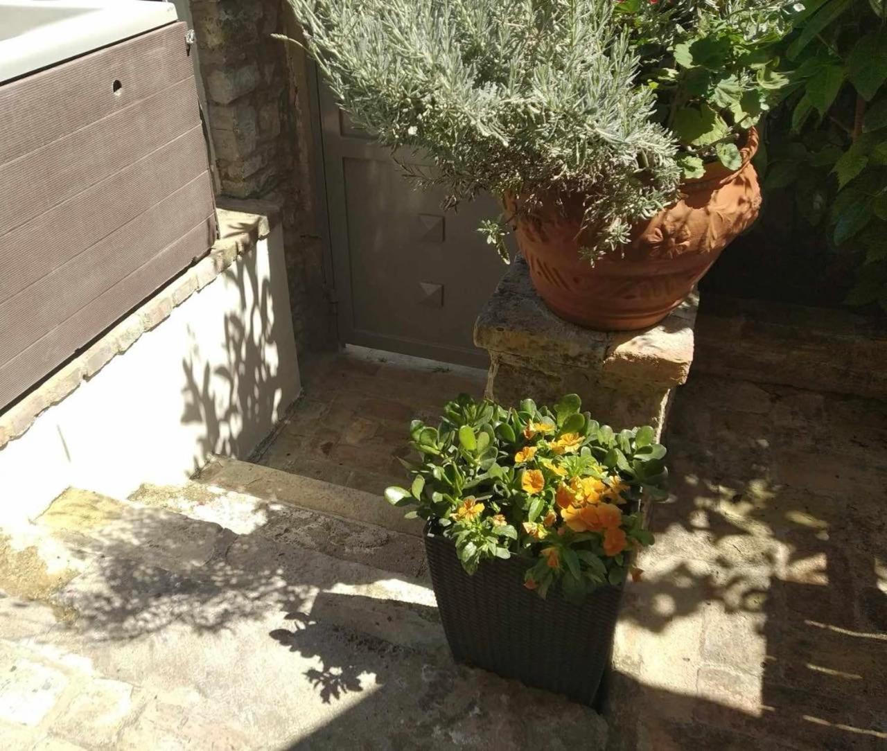 Anemomilos Jacuzzi Suite Corfu  Esterno foto